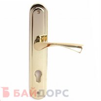 Ручка дверная на планке Apecs HP-85.0423 (G)